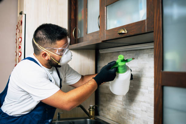Trusted Pottstown, PA Pest Control Experts