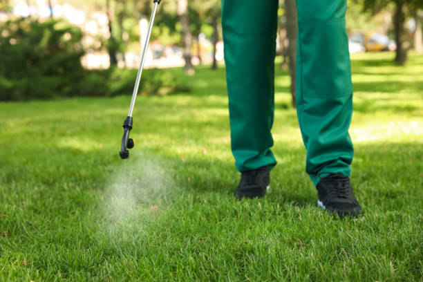 Best Emergency Pest Control  in Pottstown, PA