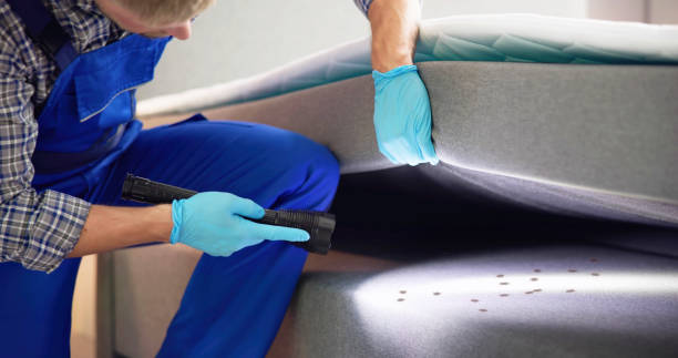 Best Ant Control Services  in Pottstown, PA