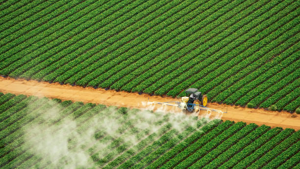 Best Commercial Pest Control Services  in Pottstown, PA