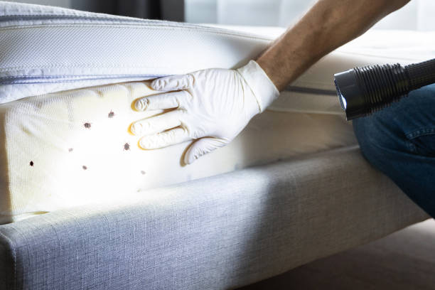 Best Pest Inspection Near Me  in Pottstown, PA